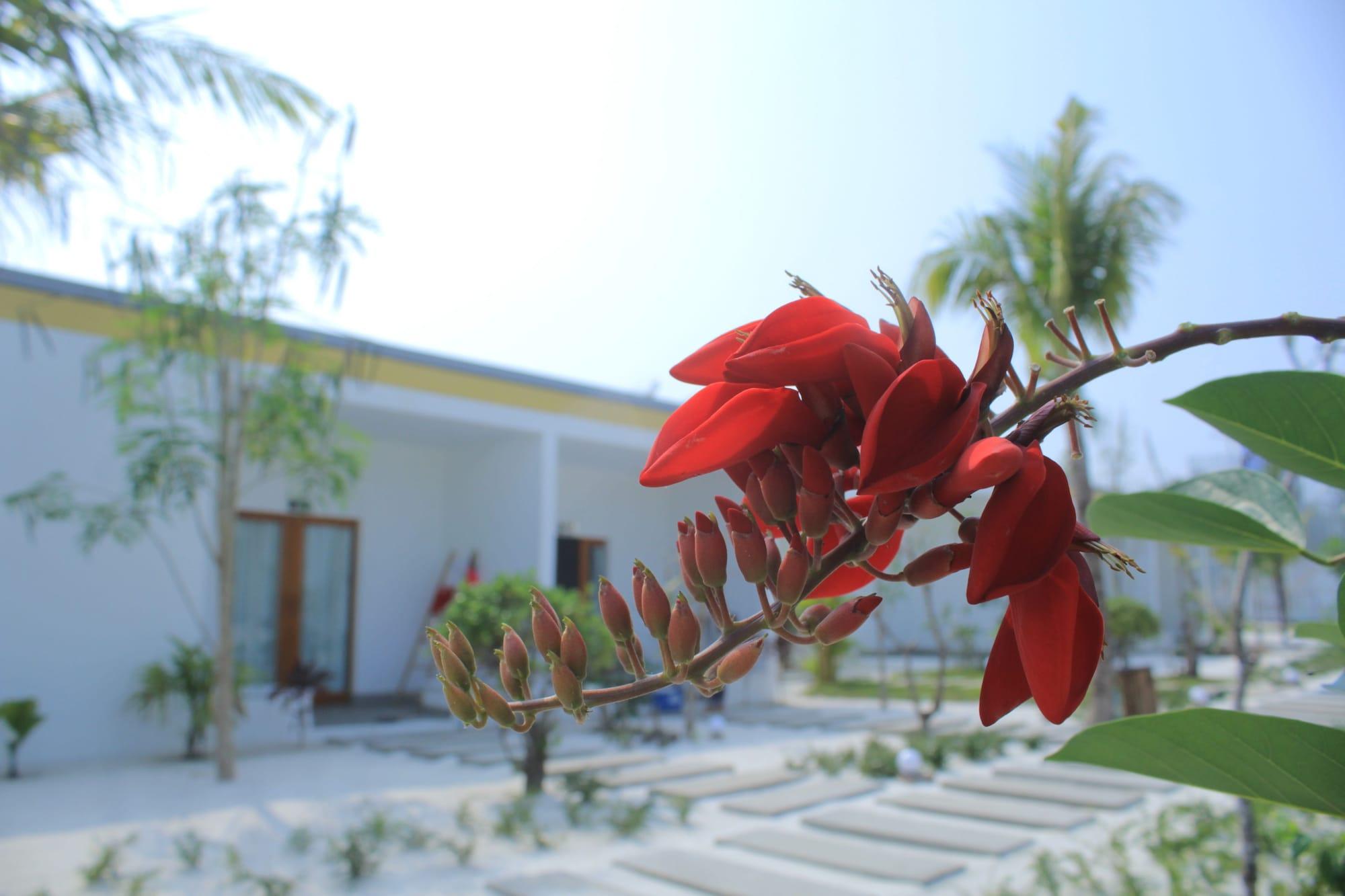 Long Set Resort Kaoh Touch Bagian luar foto
