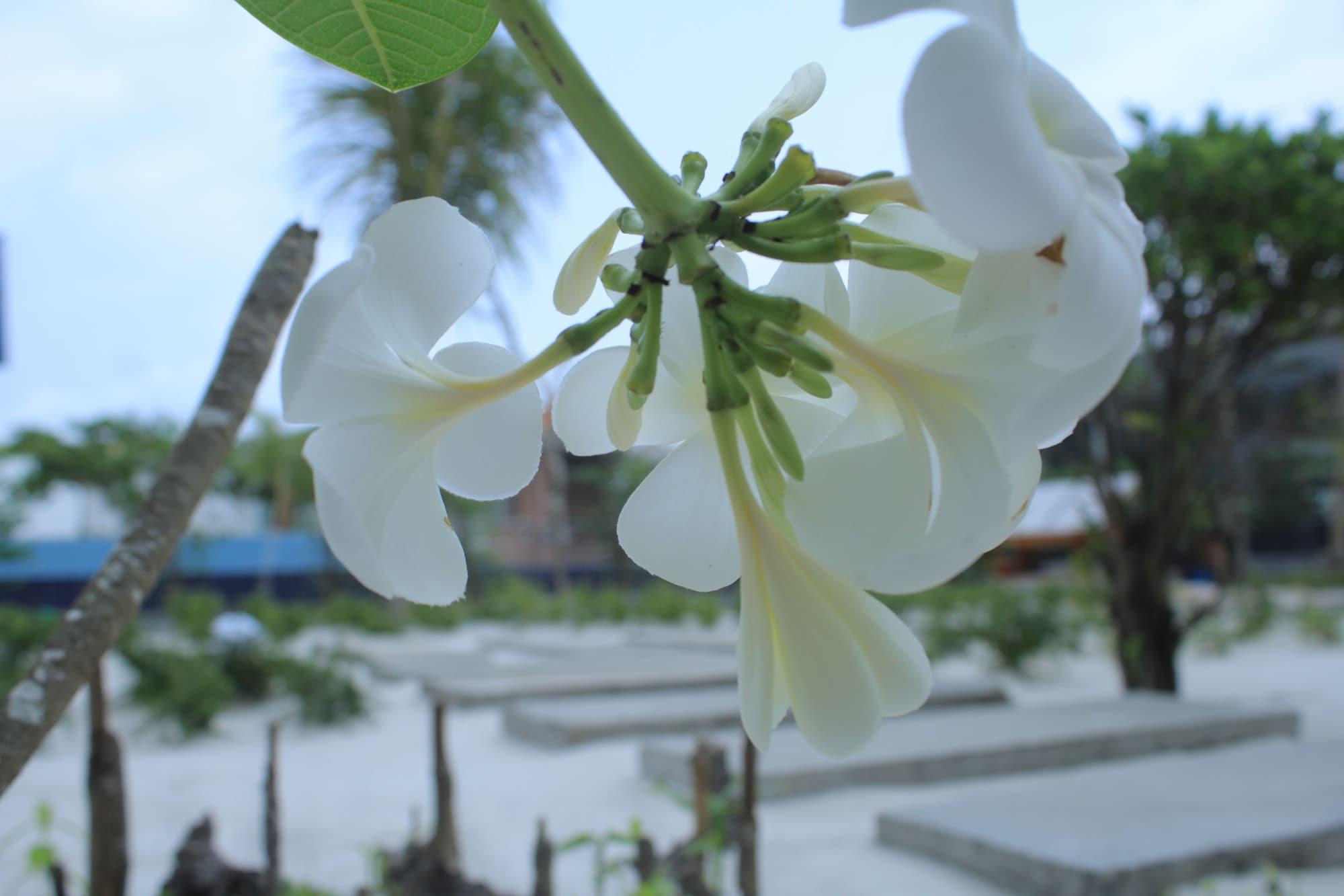 Long Set Resort Kaoh Touch Bagian luar foto